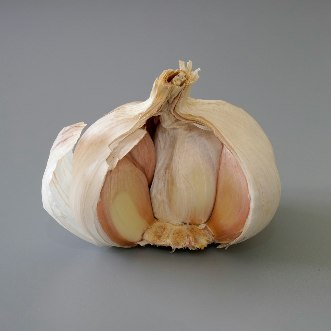 Garlic Bulb, catalogued as thiccc