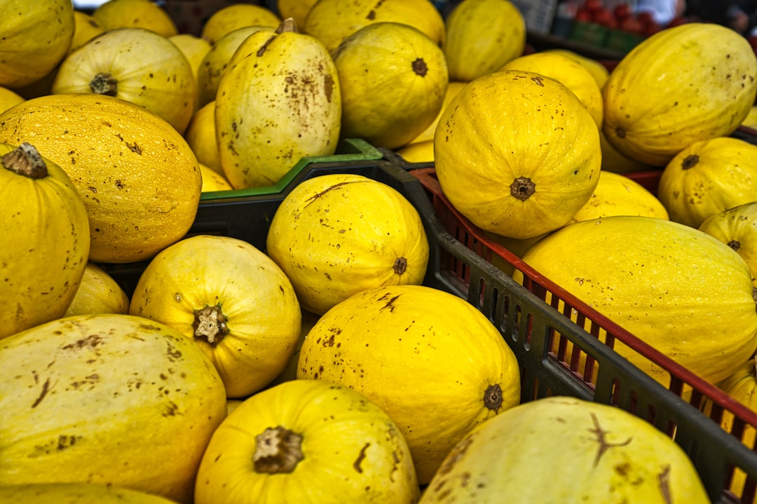 Squash, a thiccc subject