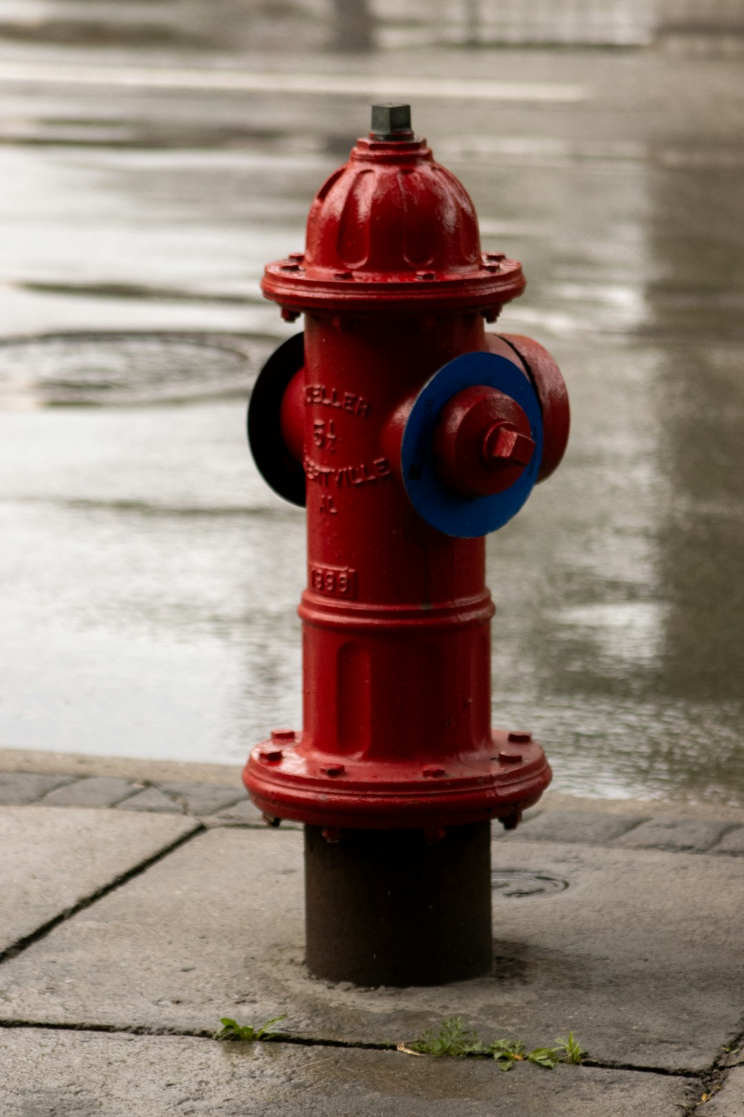 Vintage Fire Hydrant, a thiccc subject