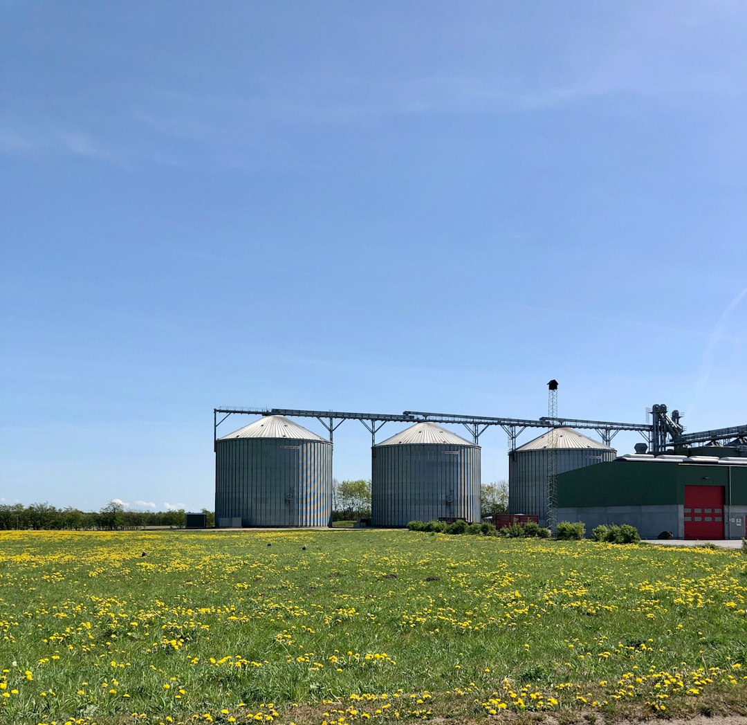Silo, a thiccc subject