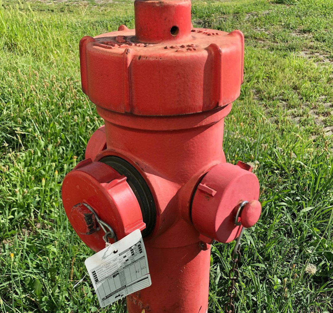 Fire Hydrant, a thiccc subject