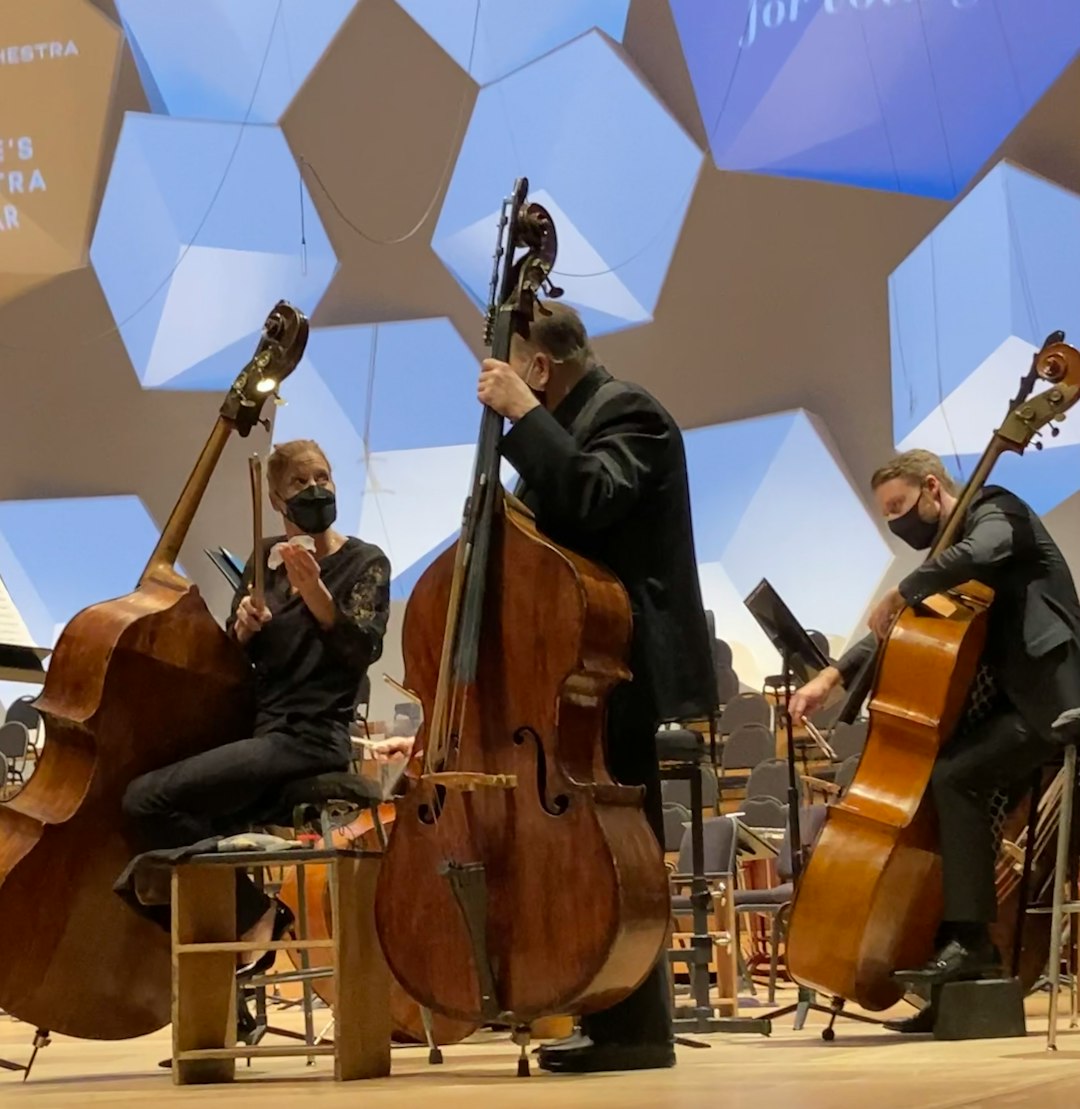 Double Bass, Upright