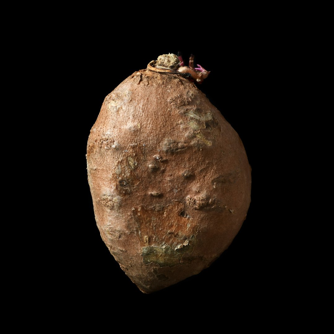 Sweet potato against a black background.