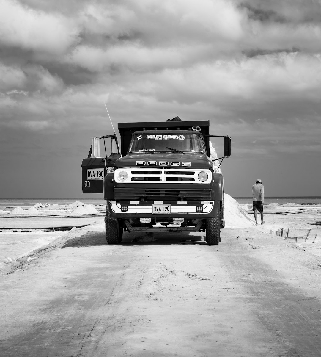 An off-highway dumper, its grand rear aspect captured in grayscale on a coastal job site.