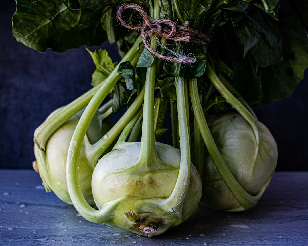 Bunch of kohlrabi with a jute tie.