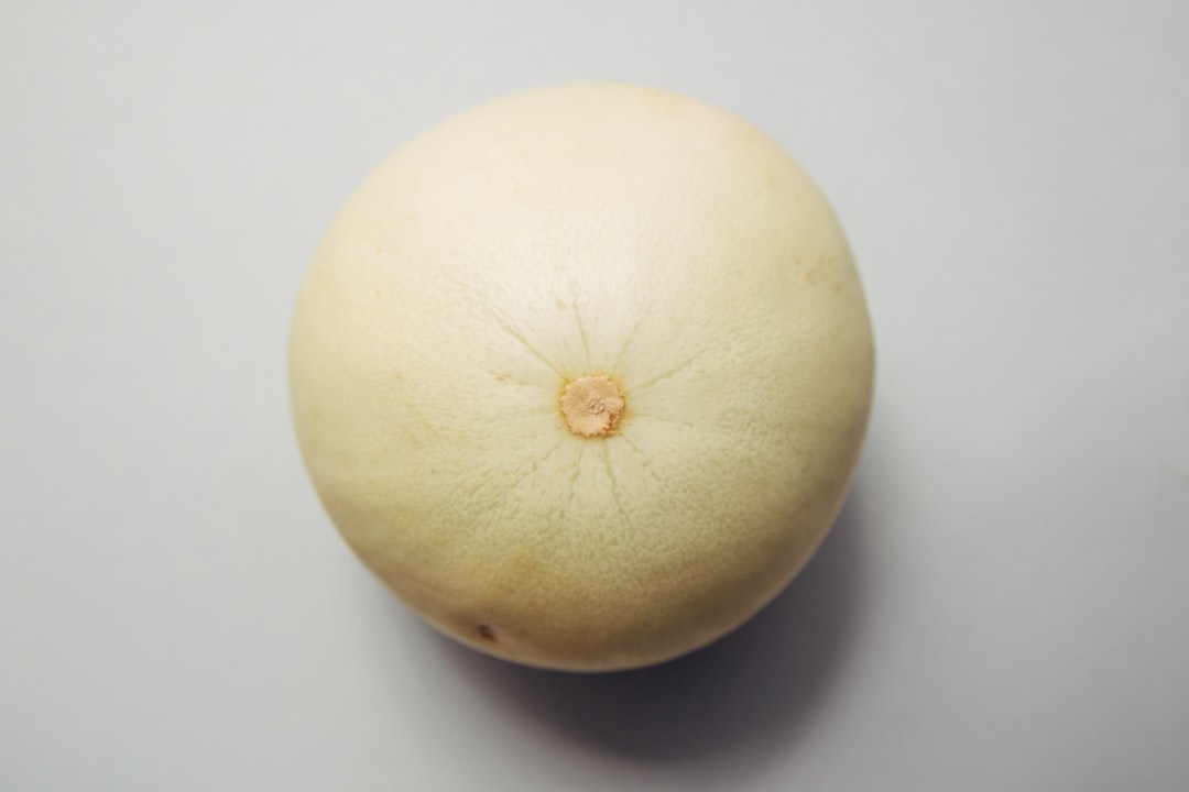 A honeydew melon of considerable circumference, alone on a plain ground and unembarrassed by it.