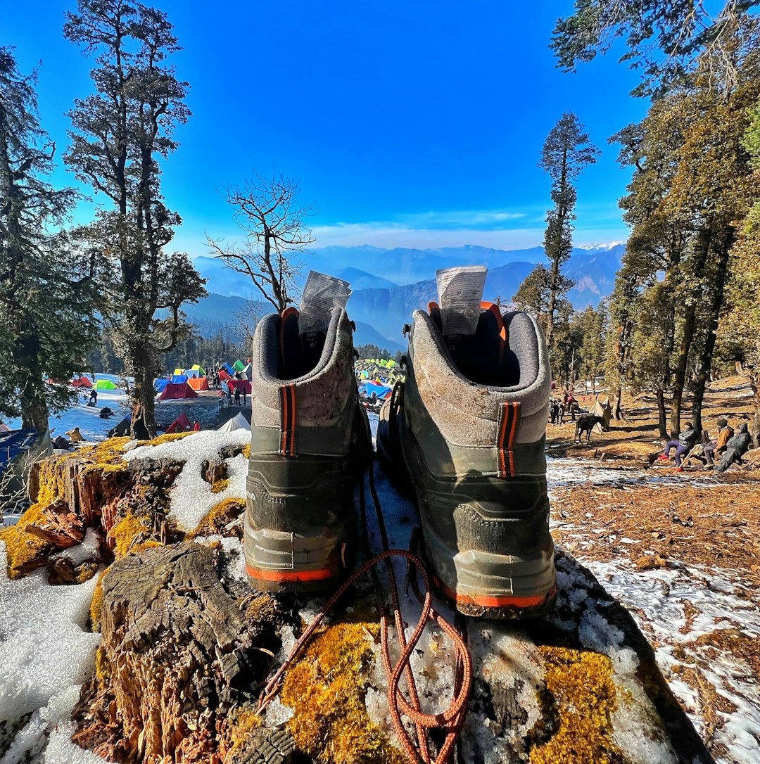 A pair of sturdy winter boots demonstrating their defiance of winter's chill atop a rustic perch.
