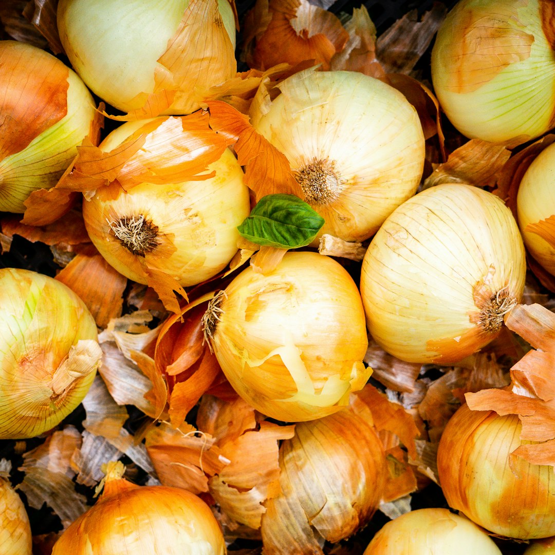 A robust assembly of Walla Walla onions demonstrating their seasonal dominance.
