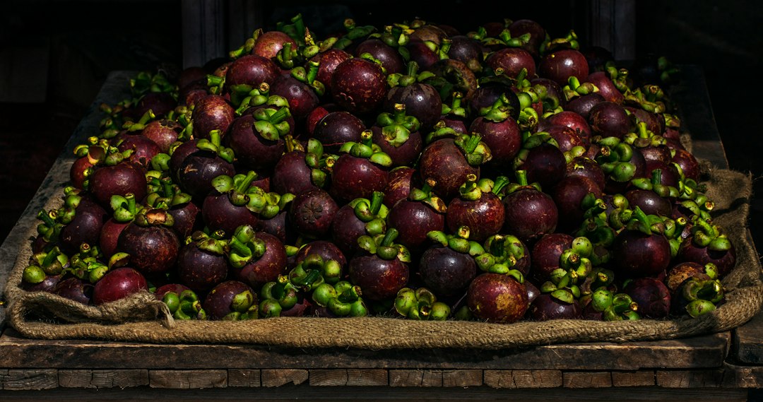 Large pile of fresh mangosteens on burlap.