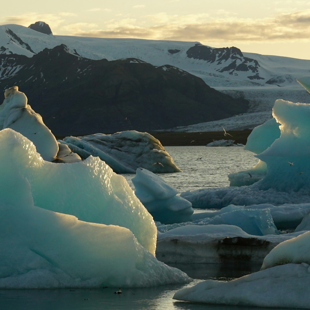 A glacial heavyweight drifting with majestic indifference.