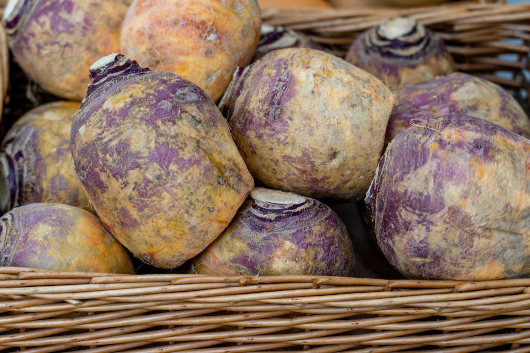 Basket full of rutabagas.