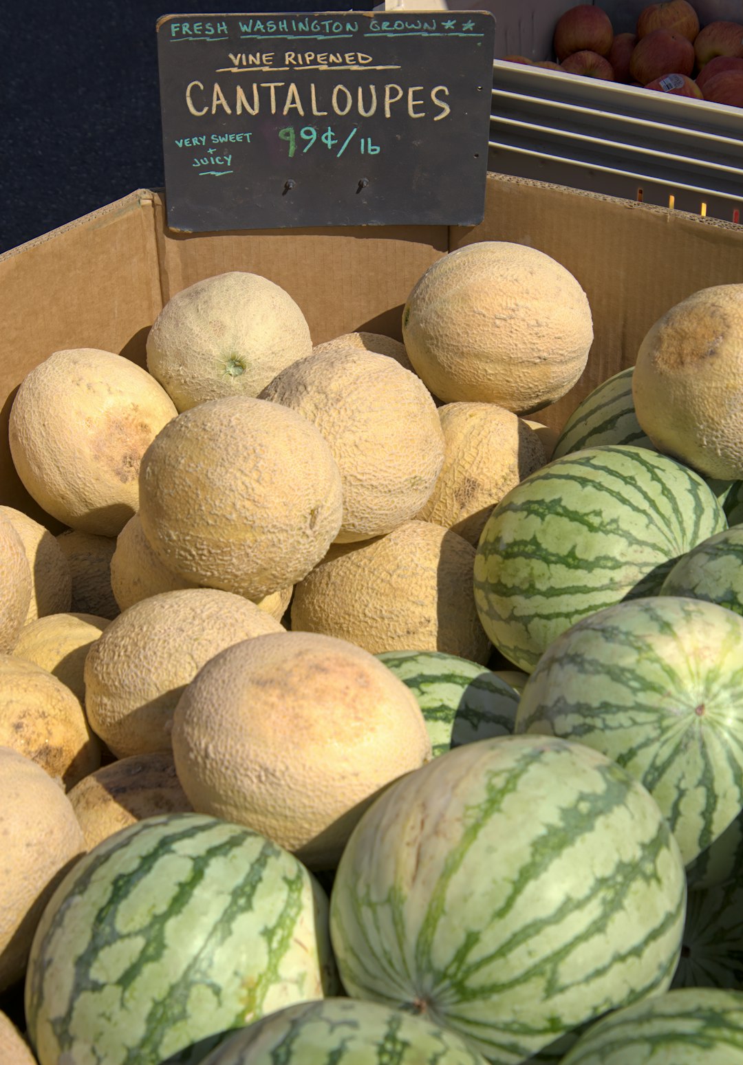 Cantaloupes in a cardboard bin beside watermelons at a produce stand.