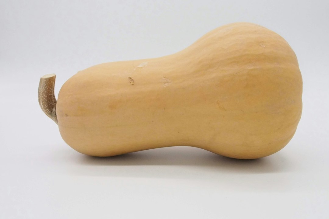 Butternut squash.
