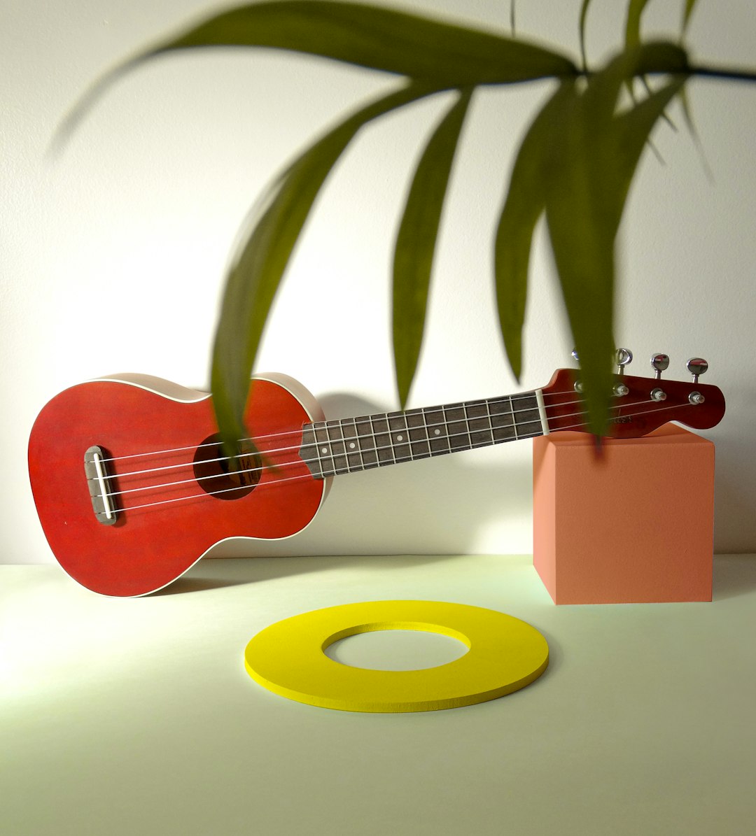 Ukulele, catalogued as thiccc