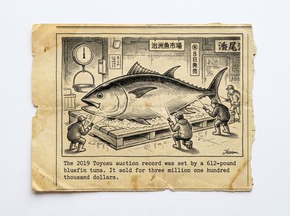 Record bluefin tuna editorial panel